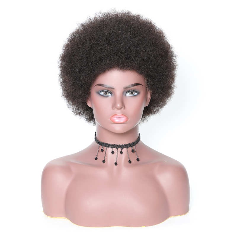 Beautyforever Lace Front Short Human Hair Curly Afro Wigs ...