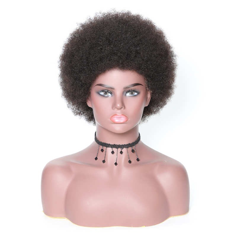 Lace Front Short Human Hair Curly Afro Wigs On Sale
